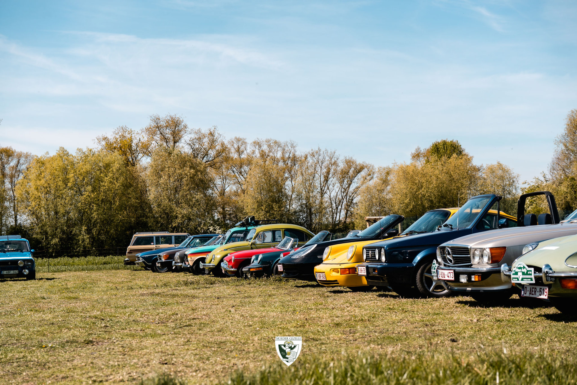 Rij kleurrijke oldtimers op een grasveld onder een blauwe lucht