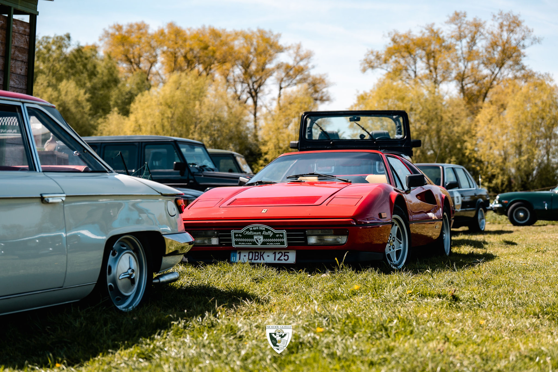 Rode Ferrari tussen klassiekers op het gras